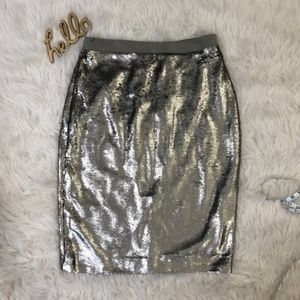 Banana Republic Silver Sequin Skirt